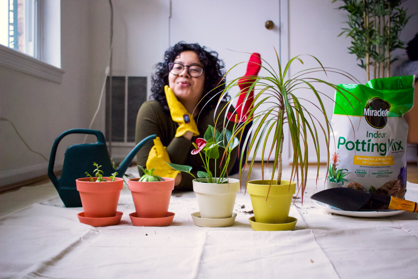 Stay At Home Plant Mom: A Notebook for the Crazy Plant Lady